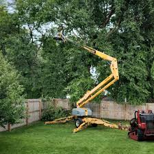 Best Tree Disease Treatment  in Carlisle, IA